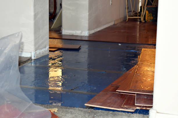 Professional Water Damage Restoration technician working in Clare, MI